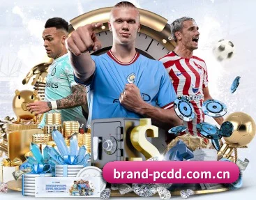 了解我们的体育与游戏内容 | PCDD